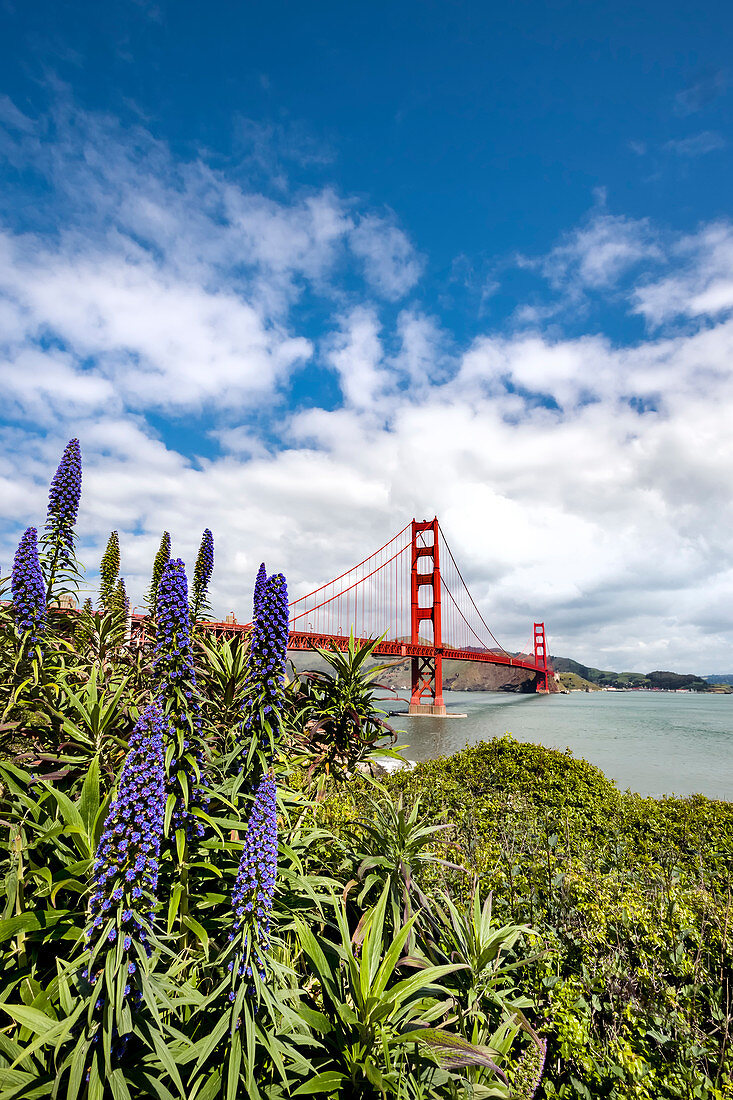 Golden Gate bridge, San Francisco, California, USA