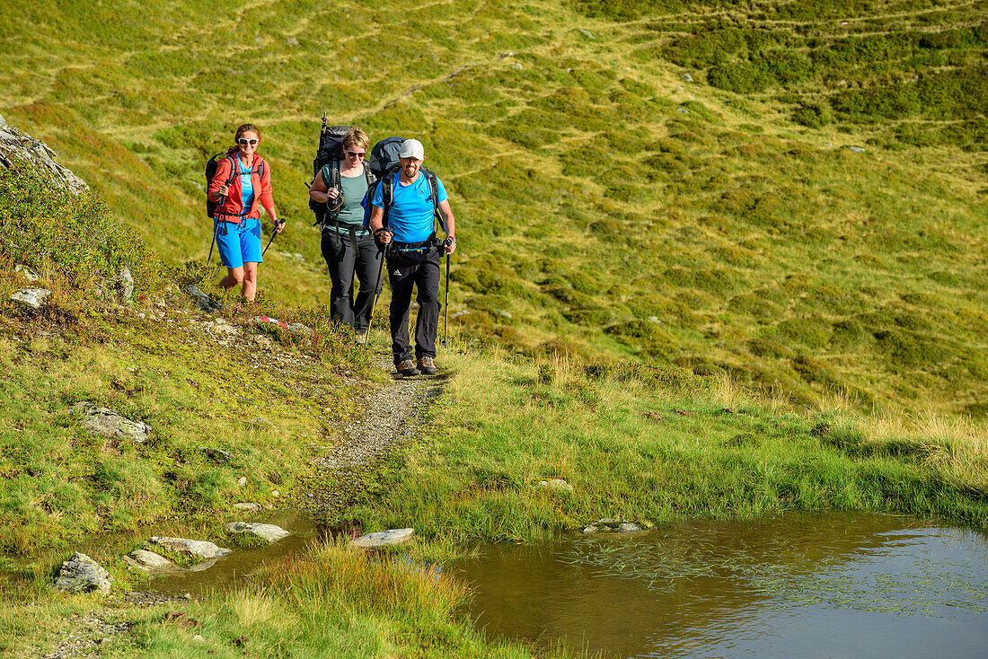 Drei Personen wandern am Pinzgauer Spaziergang, Pinzgauer Spaziergang, Kitzbüheler Alpen, Salzburg, Österreich