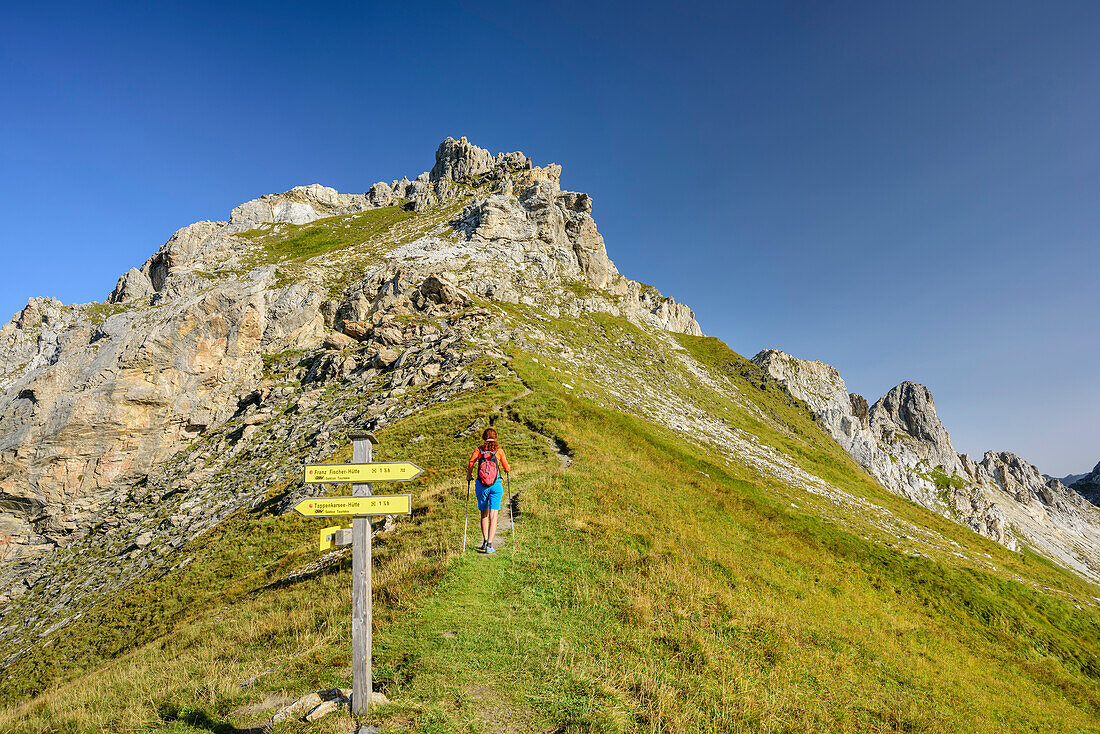 Woman hiking ascending towards Weissgrubenkopf, Weissgrubenkopf, valley Riedingtal, Radstadt Tauern, Lower Tauern, Carinthia, Austria