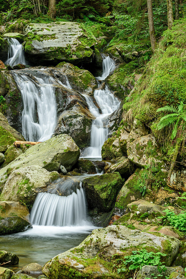 River, canyon of Passer, valley Passeiertal, South Tyrol, Italy