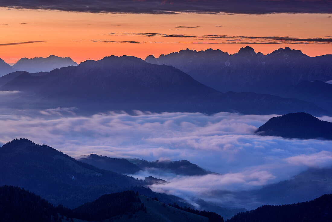 Morgenstimmung mit Kaisergebirge, Nebelstimmung im Tal, vom Wildalpjoch, Sudelfeld, Mangfallgebirge, Bayerische Alpen, Oberbayern, Bayern, Deutschland