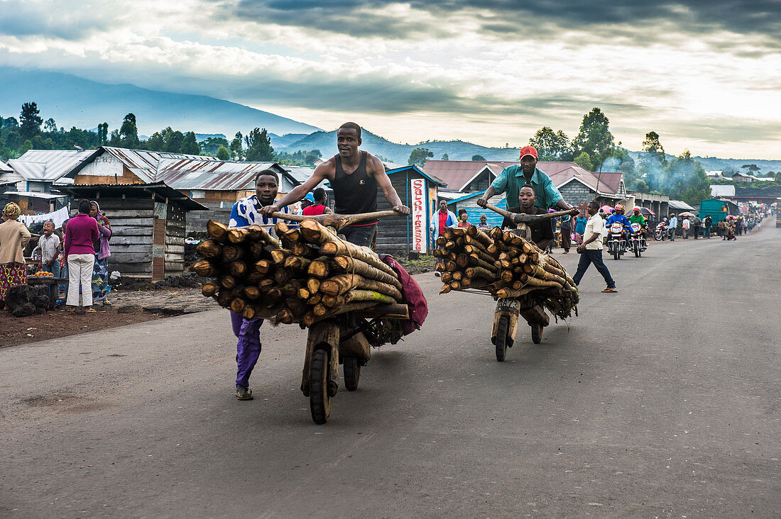 Einheimische Männer, die ihre Güter auf selbst hergestellte Träger befördern, Goma, Demokratische Republik Kongo, Afrika