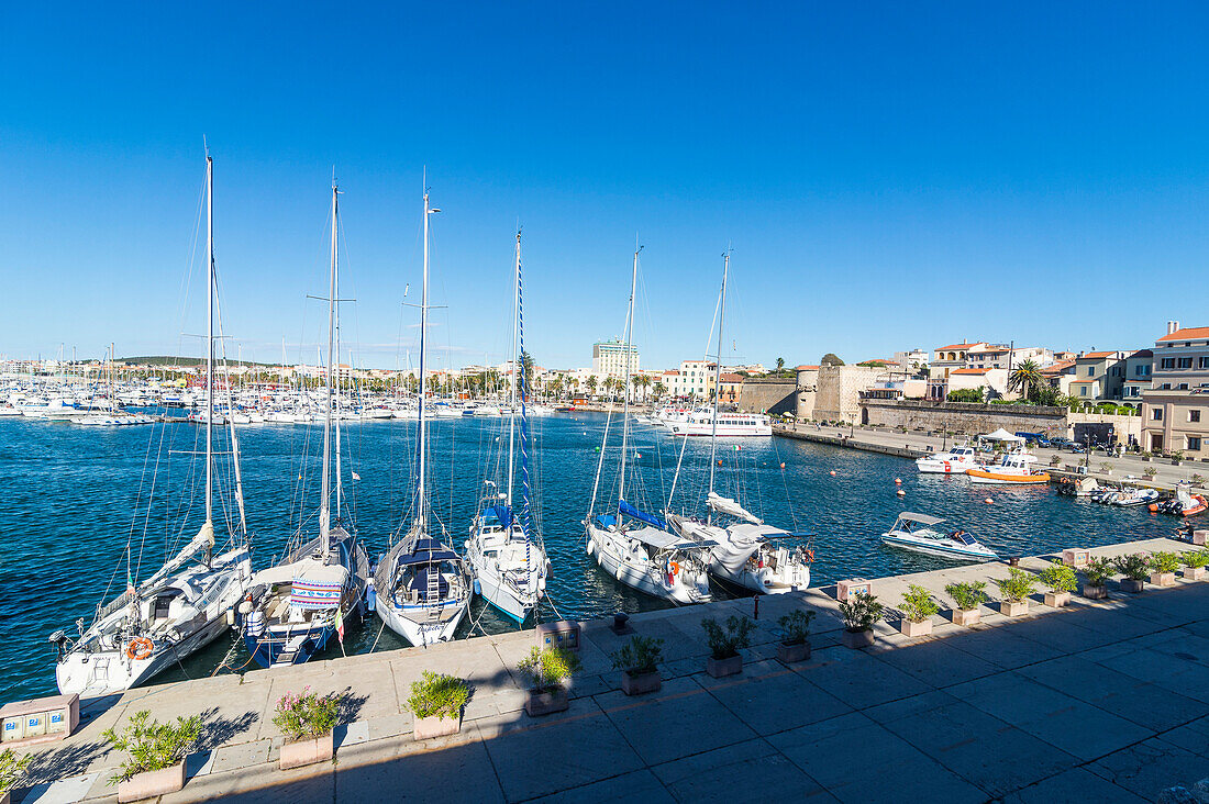 Blick über den Bootshafen der Küstenstadt Alghero, Sardinien, Italien, Mittelmeer, Europa