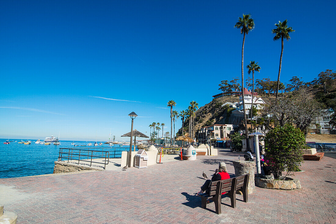 The waterfront of Avalon, Santa Catalina Island, California, United States of America, North America