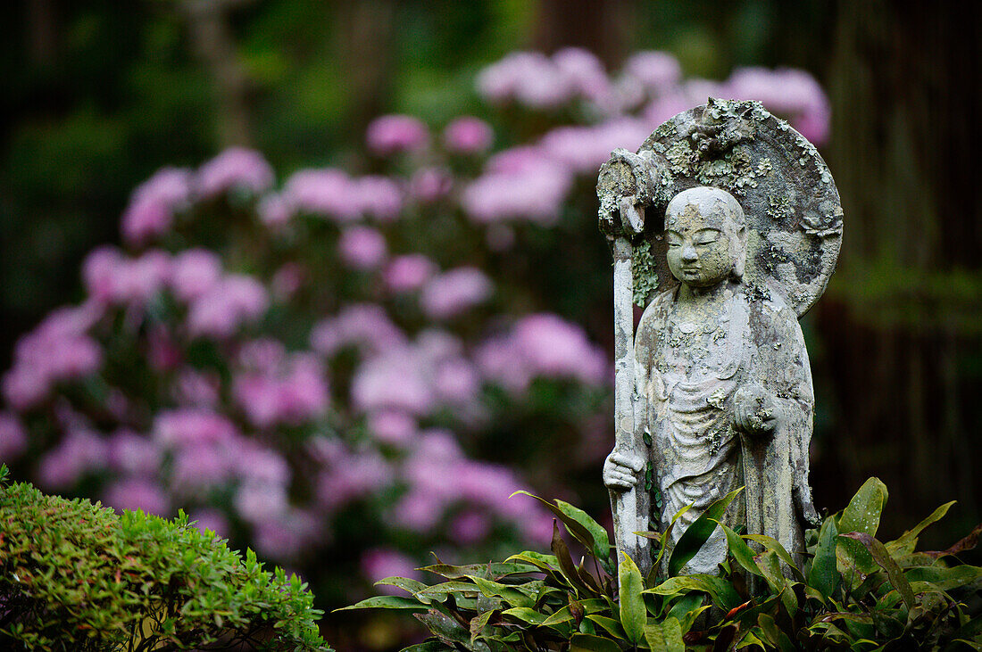 Buddhist statue, Sanzen-in Temple, Kyoto, Japan, Asia