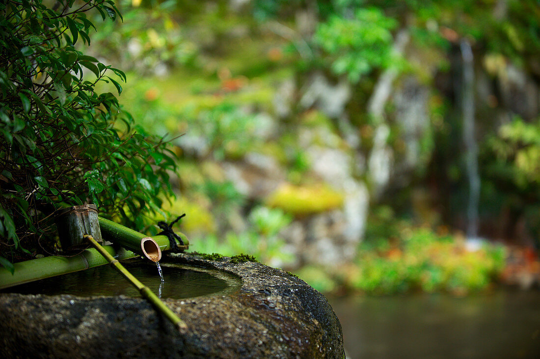 Traditionelles Tsukubai-Wasserbecken, Jikko-in-Tempel, Kyoto, Japan, Asien