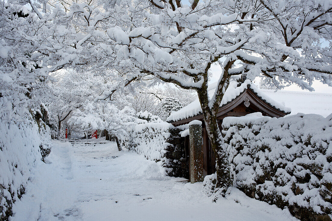 Fresh snow on Jikko-in Temple entrance, Ohara valley, Kyoto, Japan, Asia