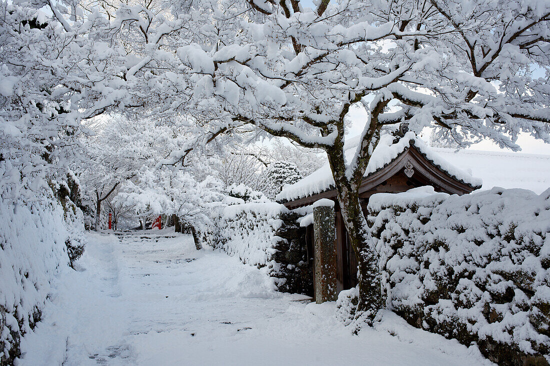 Frischer Schnee auf Eingang Jikko-im Tempel, Ohara-Tal, Kyoto, Japan, Asien
