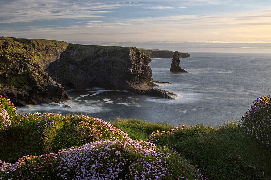 Loop Head, County Clare, Munster, Irland, Europa
