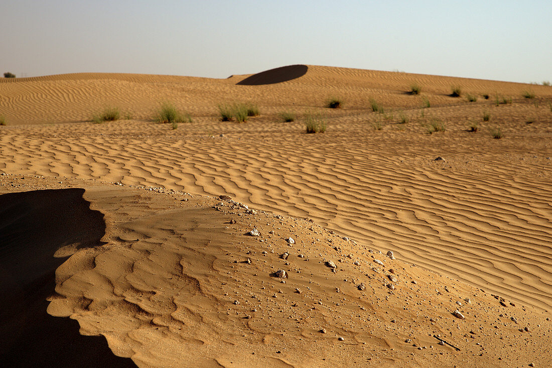 Sand dunes at sunset near Dubai, United Arab Emirates, Middle East