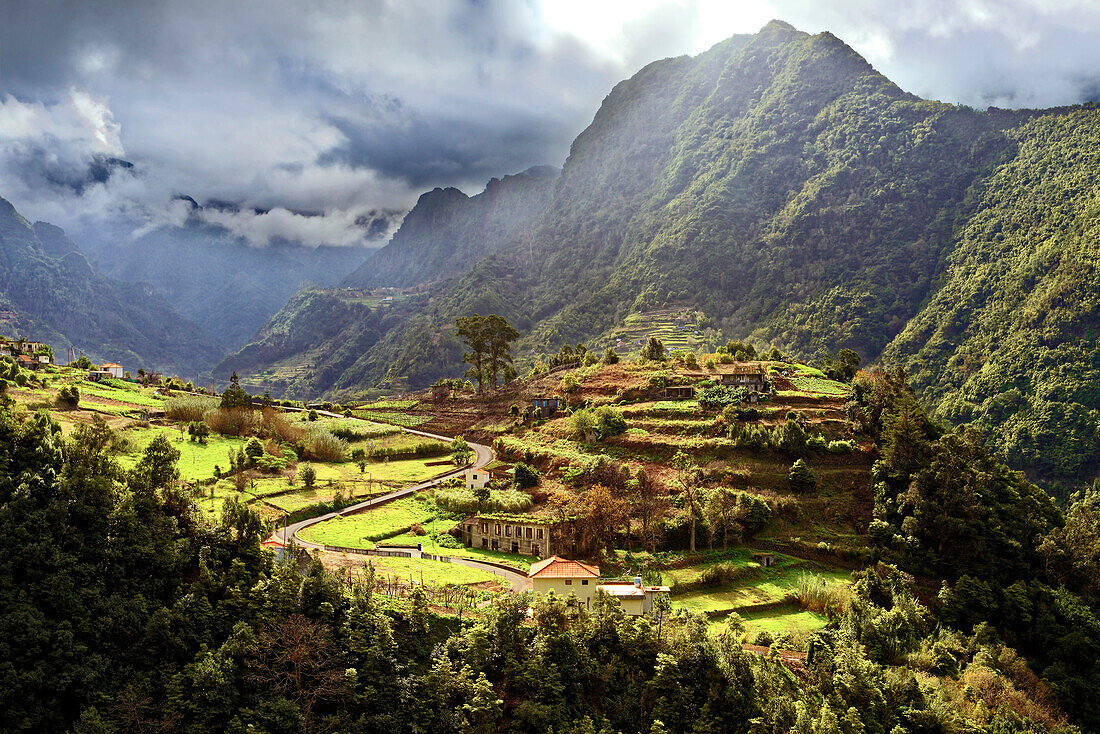 Elevated view of farmland and tree covered hills and mountains near Boaventura, Madeira, Portugal, Atlantic, Europe