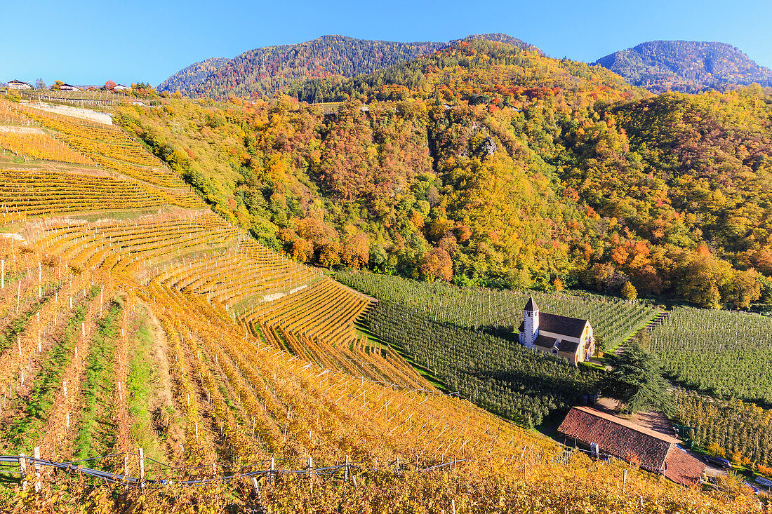 Blick auf die St. Valentin Kirche, umgeben von Herbstfarben, Meran, Vinschgau, Südtirol, Italien, Europa