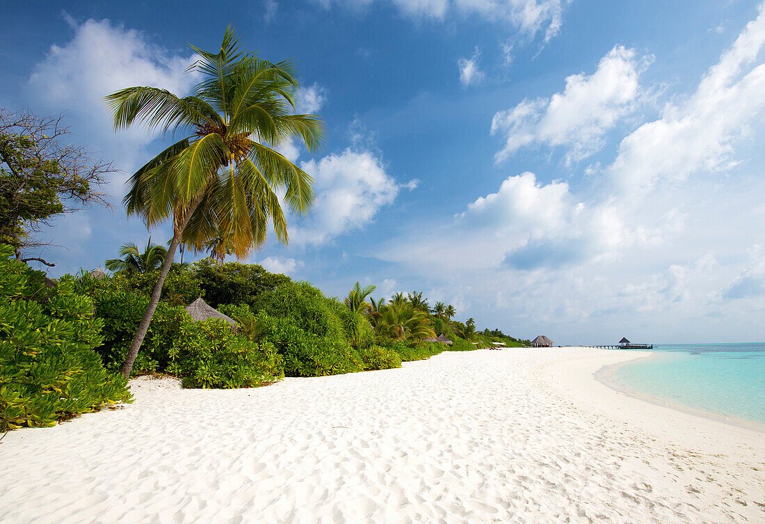 Blick entlang des tropischen Strandes, Coco Palm Resort, Dhuni Kolhu, Baa Atoll, Malediven, Indischer Ozean, Asien