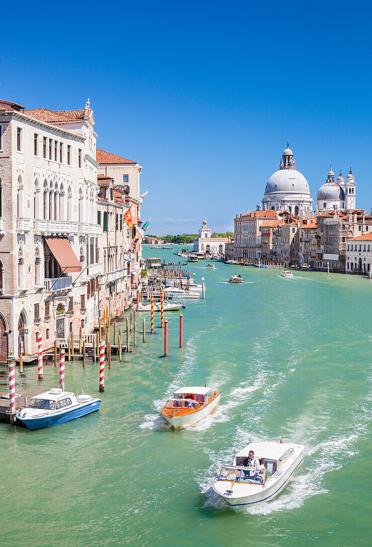 Vaporettos (Wassertaxis) vorbei am Palazzo Barbaro und der Santa Maria della Salute am Canal Grande, Venedig, UNESCO Weltkulturerbe, Venetien, Italien, Europa