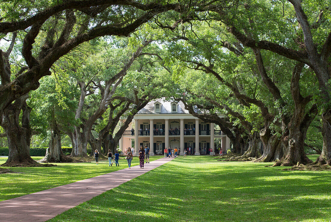 The 300 Year Old Oak Trees, Oak Alley Plantation, built 1830s, near St. James, Louisiana, United States of America, North America
