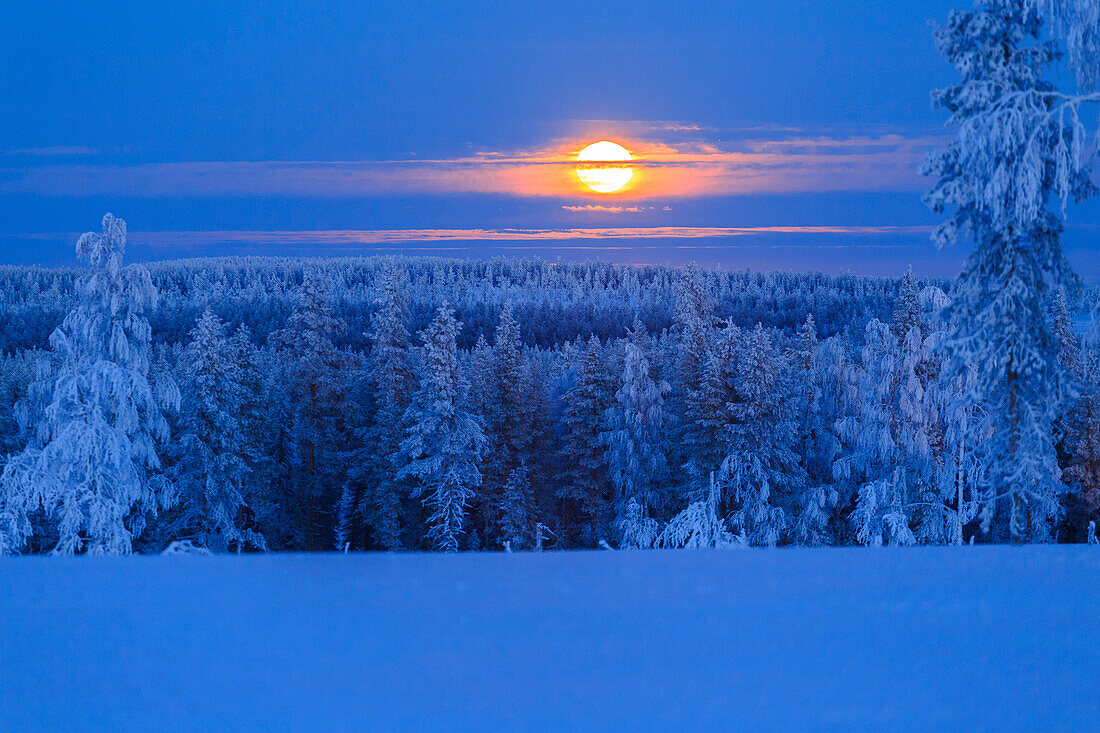 Lunar sunrise over the woods of Lapland, Hukanmaa/Kitkiojoki, Norbottens Ian, Lapland, Sweden, Scandinavia, Europe