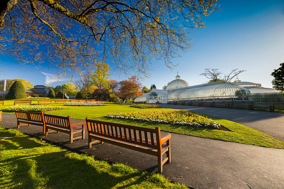 Kibble Palace, Gewächshaus in den Botanischen Gärten, Glasgow, Schottland, Großbritannien, Europa