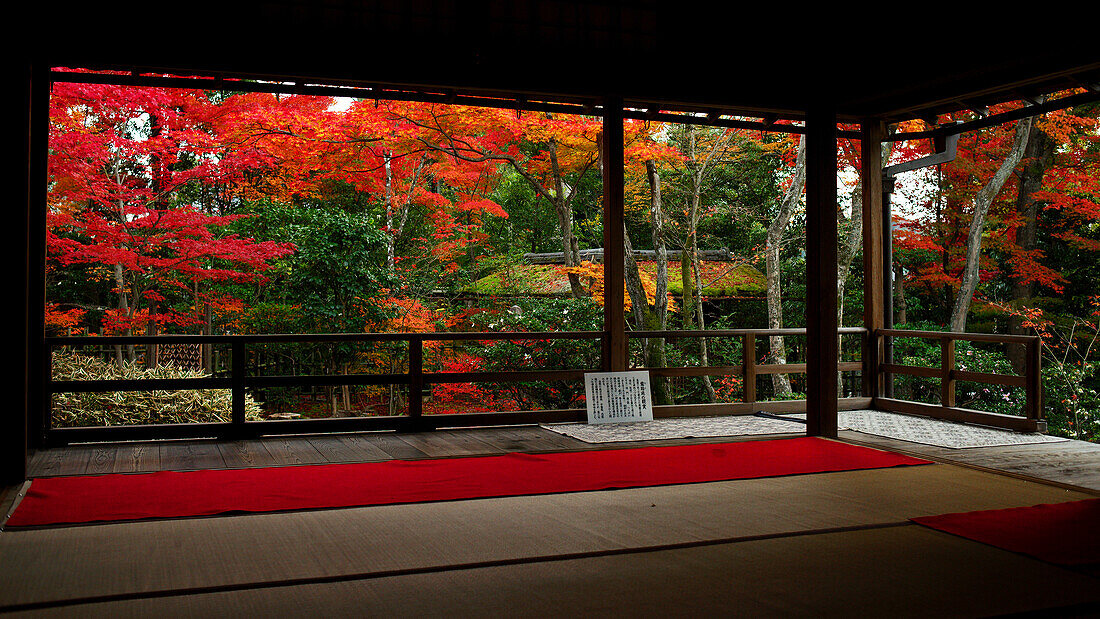 Herbstfarben im Daiho-in Tempel, Kyoto, Japan, Asien