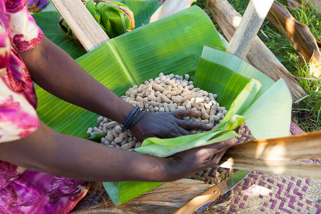 A woman wraps some groundnuts in a banana leaf, Uganda, Africa
