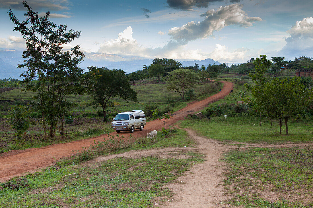 A mini bus drives along a red dusty earth road through rural Uganda, Africa