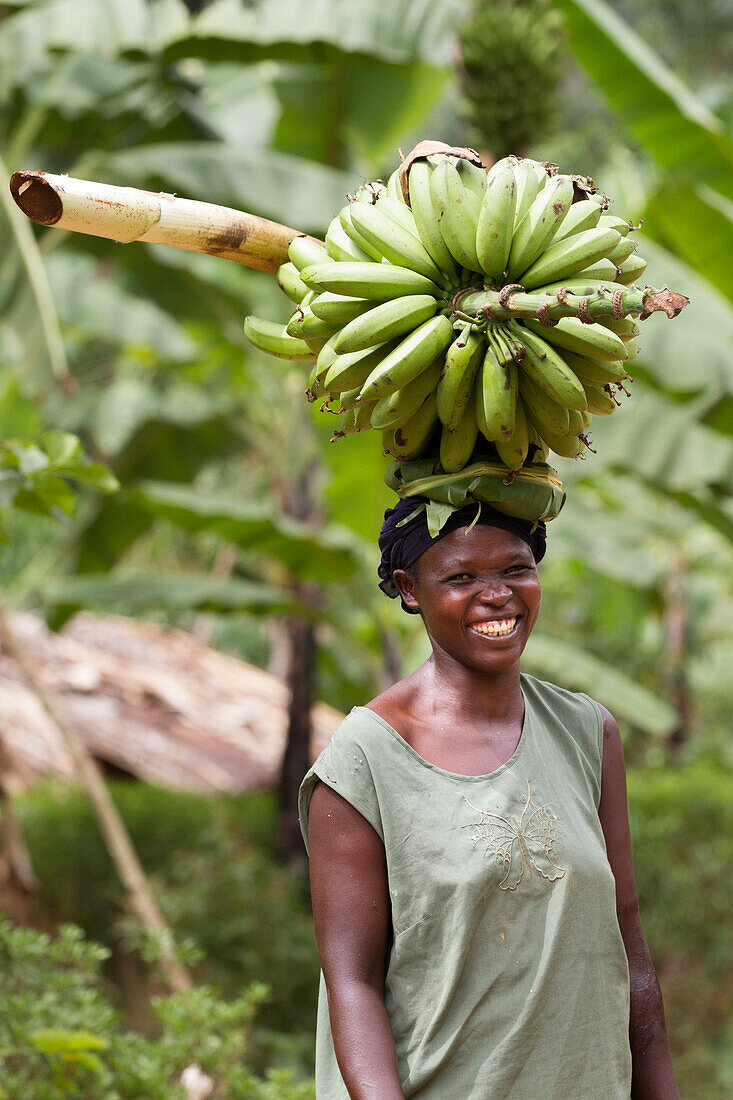 A portrait of a woman smiling and carrying a large bunch of bananas on her head, Uganda, Africa