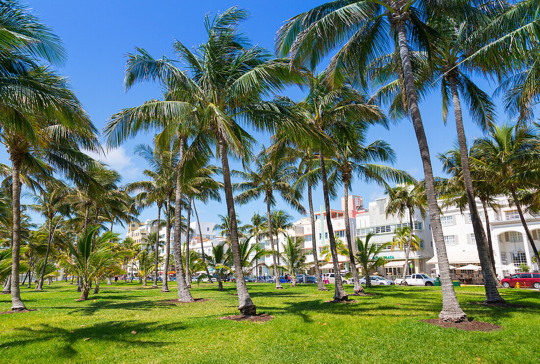 Ocean Drive und Art Deco Architektur Blick durch Palmen, Miami Beach, Miami, Florida, Vereinigte Staaten von Amerika, Nordamerika