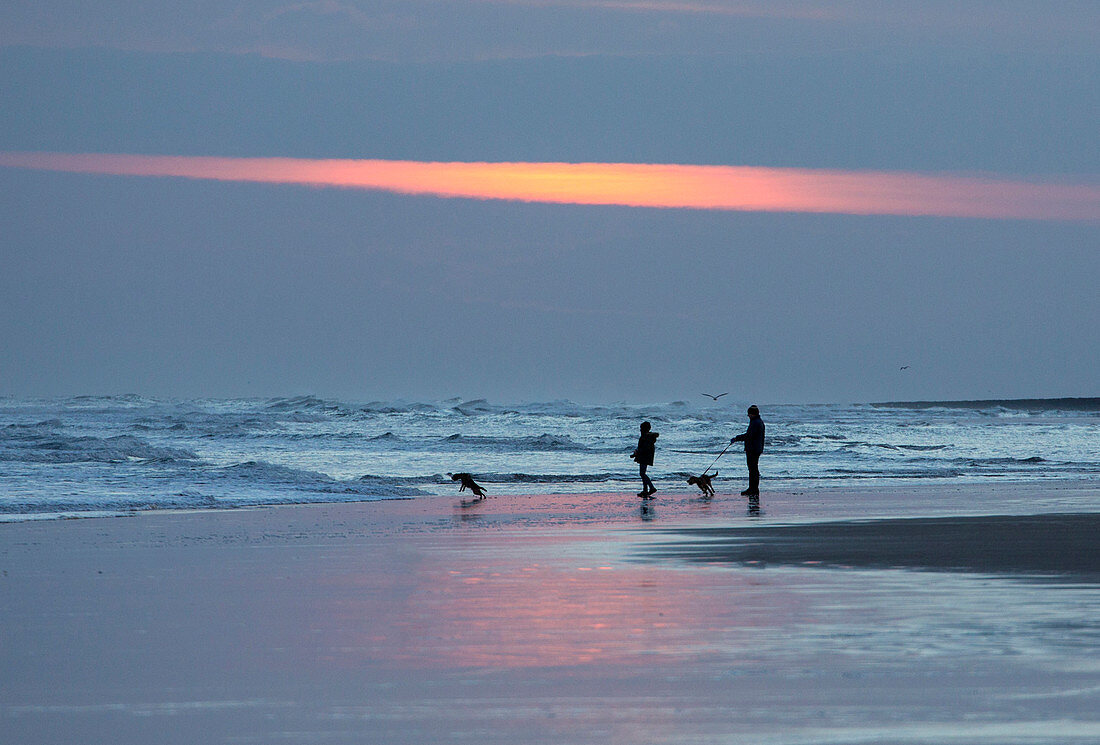 Dog walkers in silhouette on Bamburgh Beach at sunrise, Bamburgh, Northumberland, England, United Kingdom, Europe