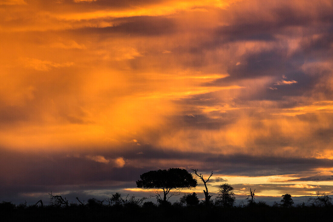 Sonnenuntergang über Kruger National Park, Südafrika, Afrika