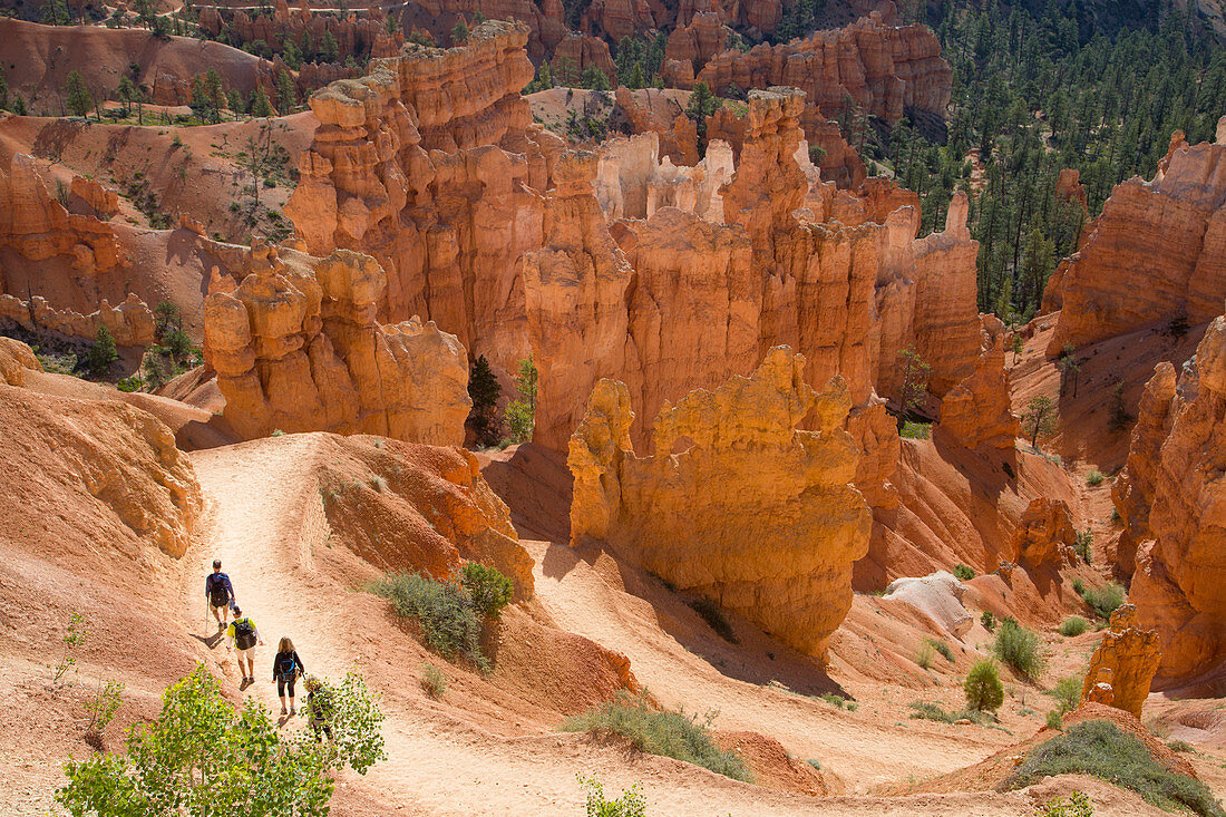 Wandern im Queens Garden Trail, Bryce Canyon Nationalpark, Utah, Vereinigte Staaten von Amerika, Nordamerika