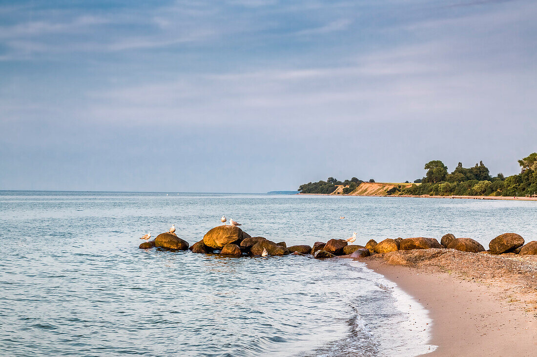 Evening mood at the beach, Brodtener Ufer, Timmendorf-Niendorf, Baltic coast, Schleswig-Holstein, Germany