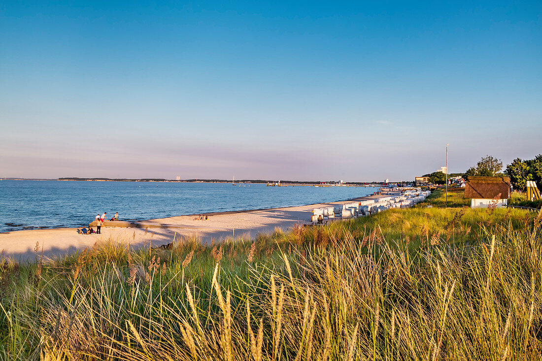 View across the dunes towards the sea, Scharbeutz, Baltic coast, Schleswig-Holstein, Germany