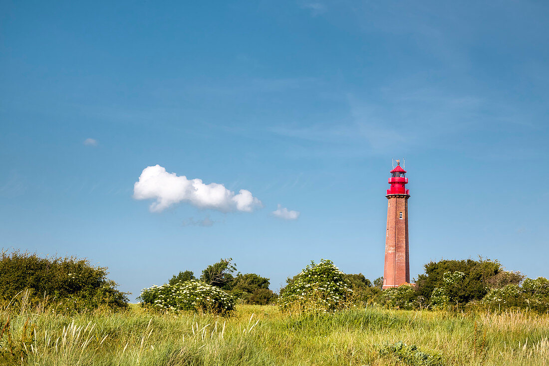 Lighthouse, Fluegge, Fehmarn island, Baltic coast, Schleswig-Holstein, Germany