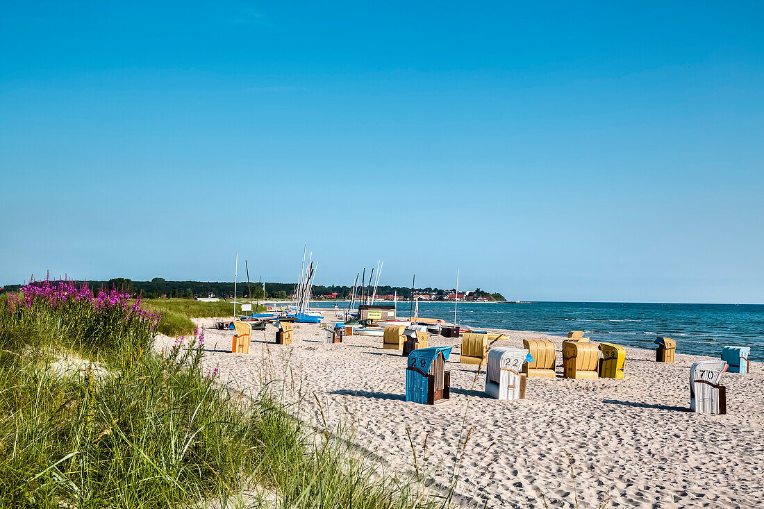 Beach and beach chairs, Sehlendorf, Hohwacht, Baltic coast, Schleswig-Holstein, Germany