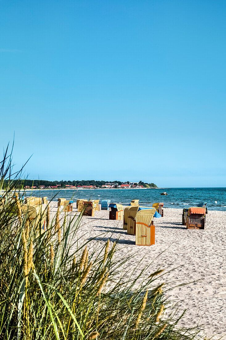 Blick über Dünen und Strand, Sehlendorf, Hohwacht, Ostsee, Schleswig-Holstein, Deutschland