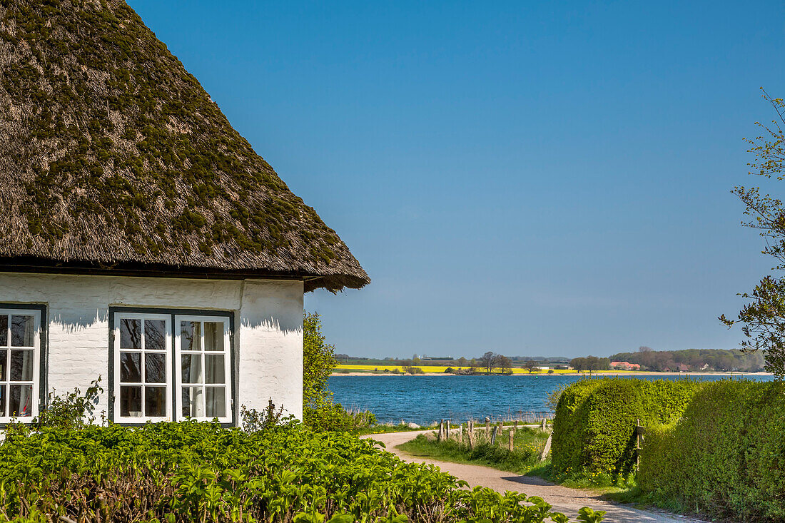 Thatched house, Sieseby, Schlei fjord, Baltic coast, Schleswig-Holstein, Germany