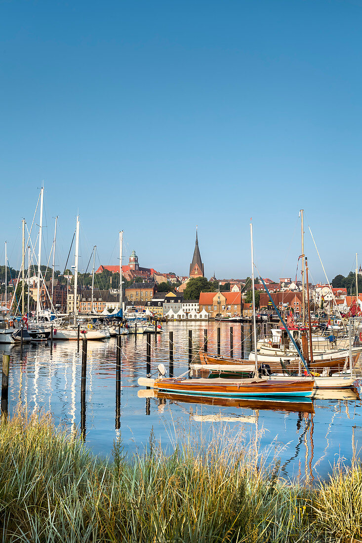 Blick über die Förde auf die Innenstadt, Flensburg, Flensburger Förde, Ostsee, Schleswig-Holstein, Deutschland