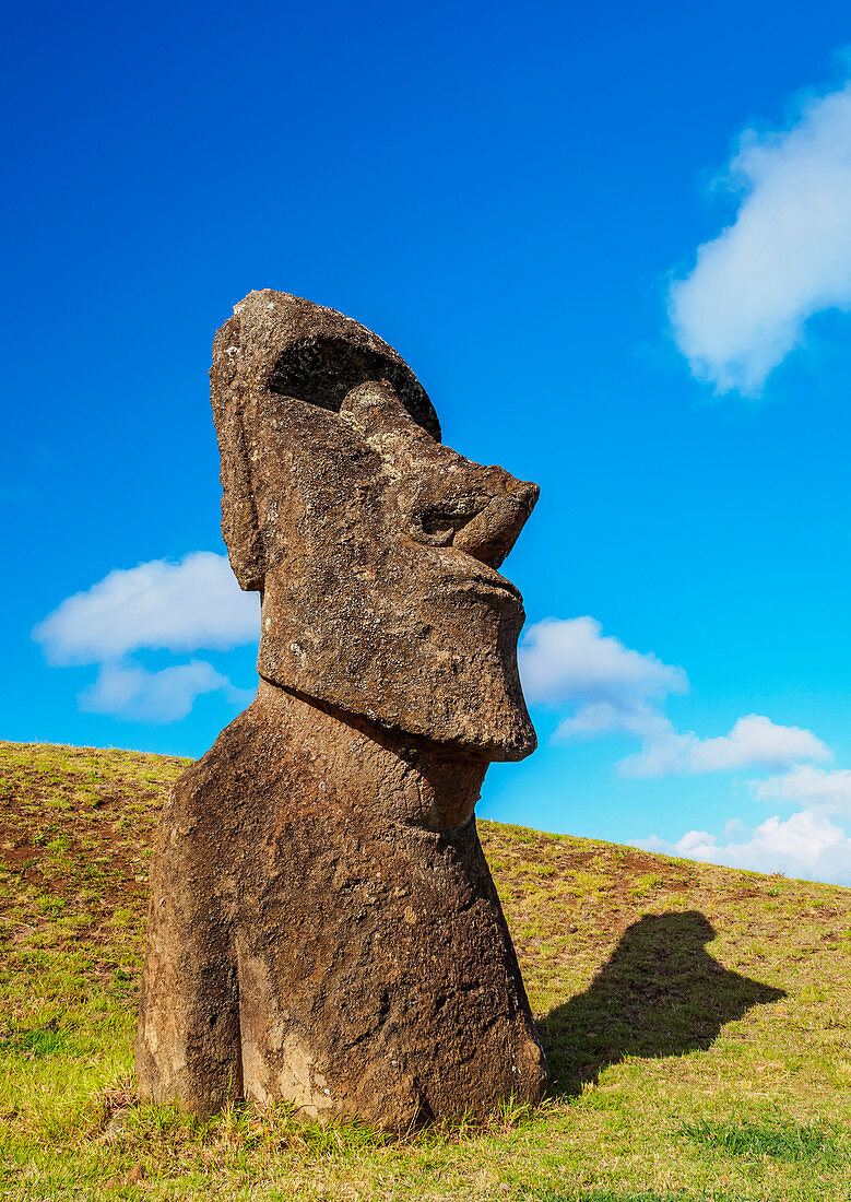 Moai im Steinbruch am Hang des Vulkans Rano Raraku, Rapa Nui Nationalpark, UNESCO-Weltkulturerbe, Osterinsel, Chile, Südamerika