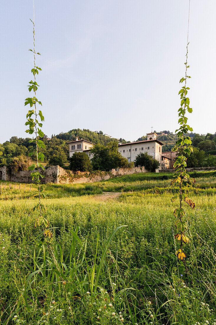 Sonnenaufgang auf dem historischen Kloster Astino umgeben von Hopfenfeldern Longuelo, Provinz Bergamo, Lombardei, Italien, Europa