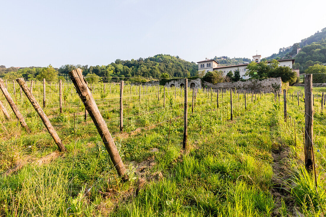 Sunrise on the ancient monastery of Astino surrounded by vineyards Longuelo, Province of Bergamo, Lombardy, Italy, Europe