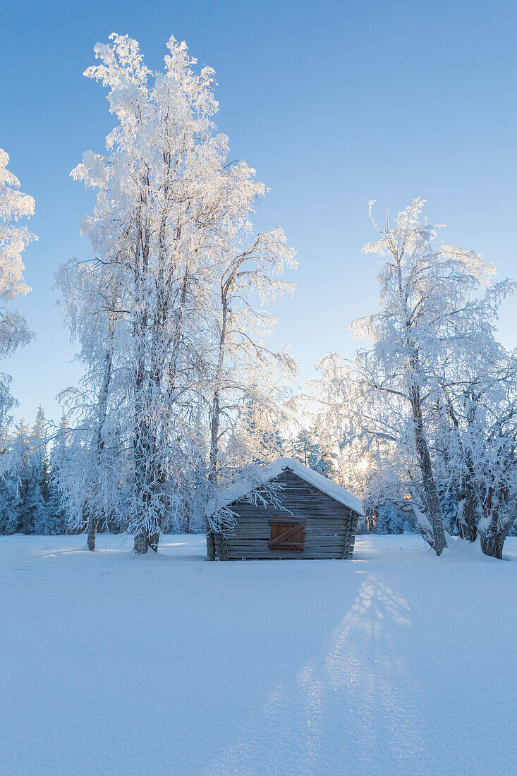 Holzhütte im verschneiten Wald, Kiruna, Norrbotten County, Lappland, Schweden