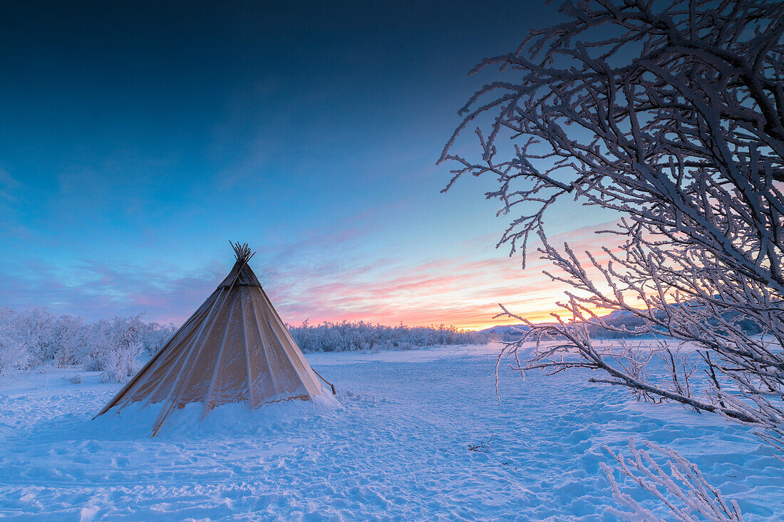 Pink sky at sunrise on isolated Sami tent in the snow, Abisko, Kiruna Municipality, Norrbotten County, Lapland, Sweden