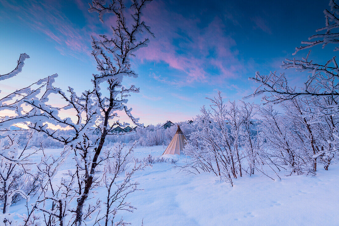 Isolated Sami tent in the snow, Abisko, Kiruna Municipality, Norrbotten County, Lapland, Sweden
