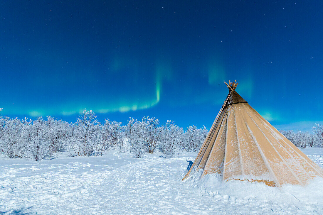 Isolierte Sami Zelt im Schnee unter Nordlichtern, Abisko, Gemeinde Kiruna, Norrbottens län, Lappland, Schweden