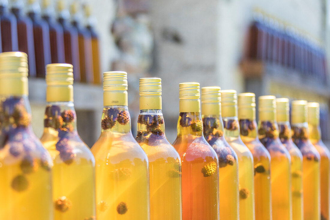 Details of bottles of grappa a typical liquor, San Romerio Alp, Brusio, Canton of Graubünden, Poschiavo valley, Switzerland