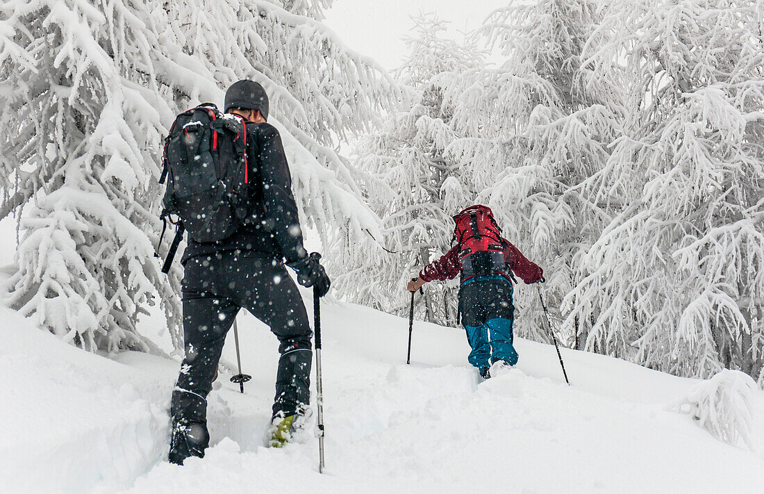 Skitouren bei einem schweren Schneefall bei Cima della Rosetta, Orobie, Valgerola, Valtellina, Italien, Alpen