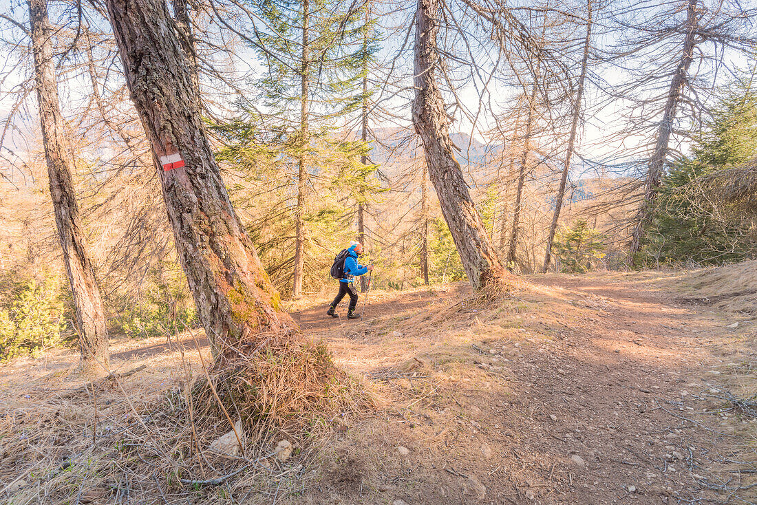 Person along the mountain path that leads to the Horn of Tres Europe, Italy, Trentino Alto Adige, Trento district, Non valley, Tres city