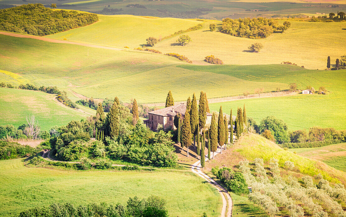 The famous Podere Belvedere under the sunlight, with green hills, Val d'Orcia, Province of Siena, Tuscany, Italy