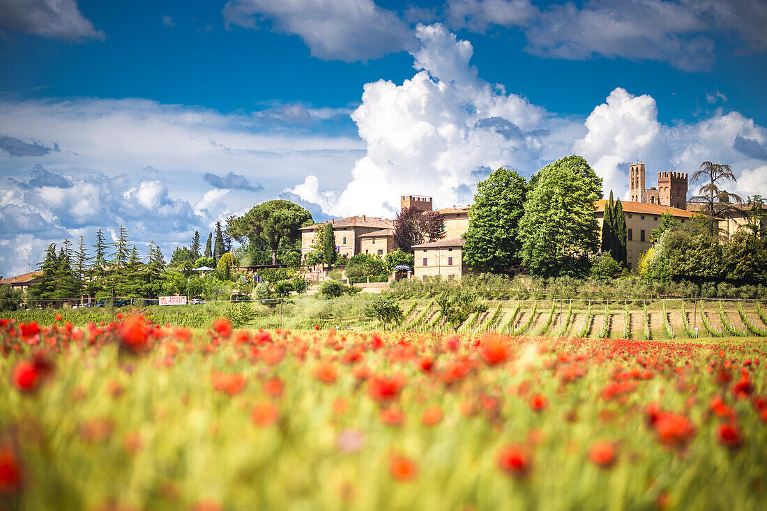 Typisches, kleines Dorf zwischen den Hügeln der Toskana, Siena Contryside, Toskana, Italien