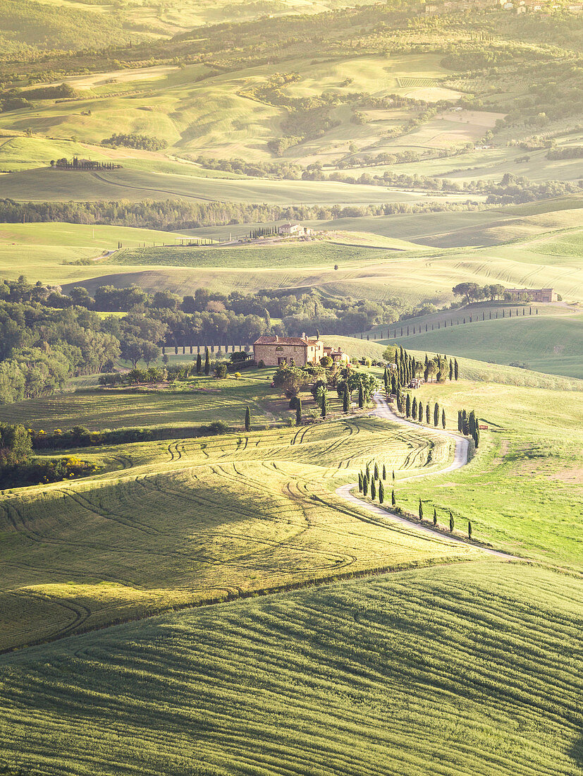 The green hills of Val d'Orcia, Tuscany, Italy