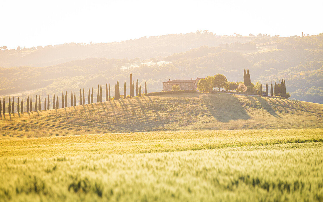 Der grüne Hügel des Val d'Orcia, Toskana, Italien